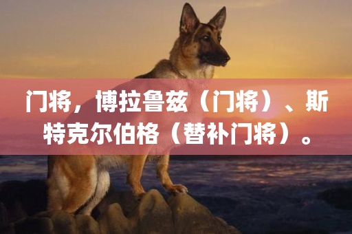 门将，博拉鲁兹（门将）、斯特克尔伯格（替补门将）。