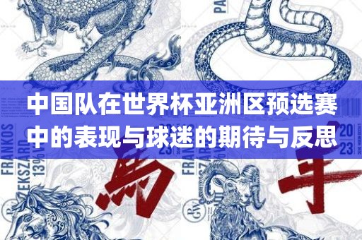 中国队在世界杯亚洲区预选赛中的表现与球迷的期待与反思