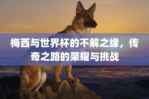 梅西与世界杯的不解之缘，传奇之路的荣耀与挑战