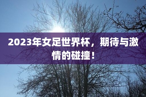 2023年女足世界杯,期待与激情的碰撞!广州熙林手袋有限公司