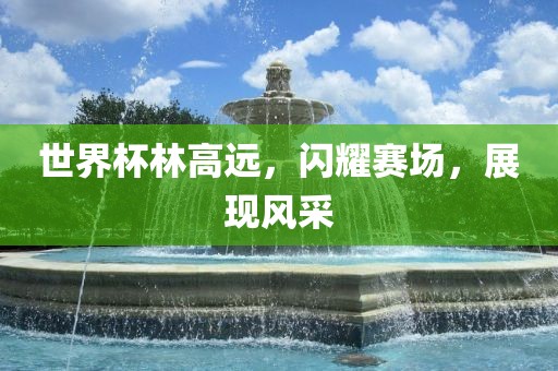 世界杯林高远，闪耀赛场，展现风采