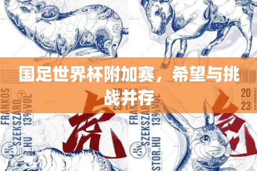 国足世界杯附加赛，希望与挑战并存