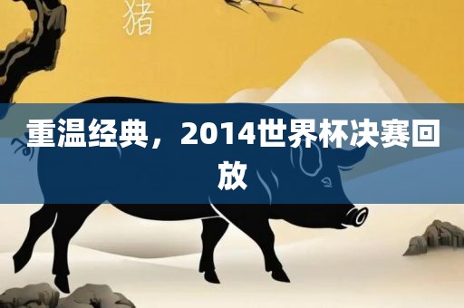 重温经典,2014世界杯决赛回放