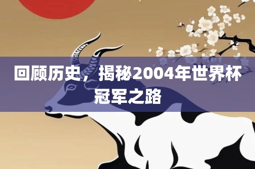 回顾历史,揭秘2004年世界杯冠军之路
