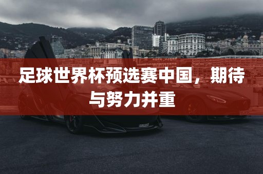 足球世界杯预选赛中国，期待与努力并重