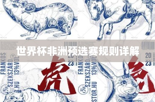 世界杯非洲预选赛规则详解