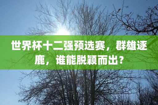 世界杯十二强预选赛,群雄逐鹿,谁能脱颖而出?