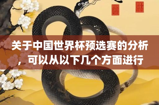 关于中国世界杯预选赛的分析,可以从以下几个方面进行