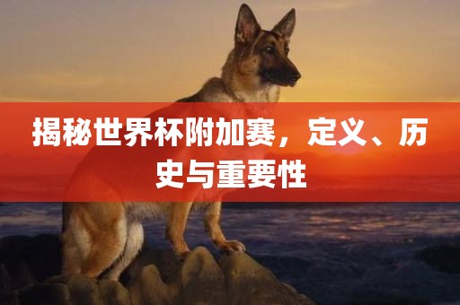 揭秘世界杯附加赛,定义、历史与重要性