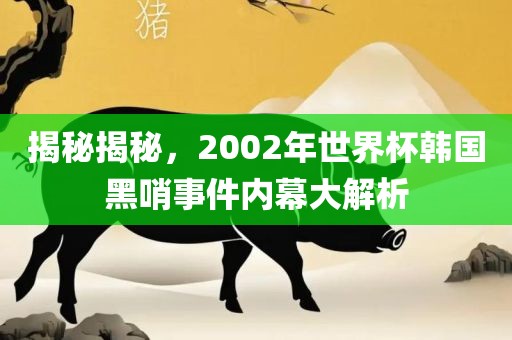 揭秘揭秘，2002年世界杯韩国黑哨事件内幕大解析