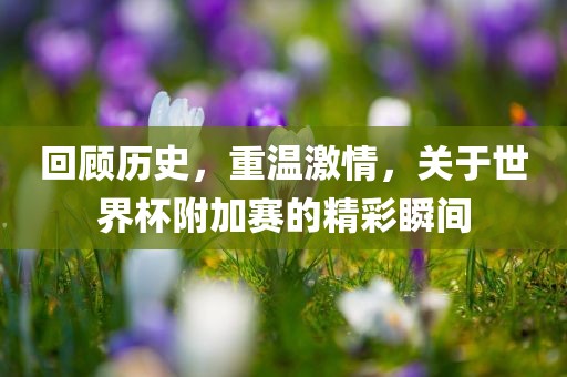 回顾历史,重温激情,关于世界杯附加赛的精彩瞬间