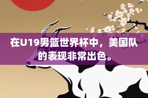 在U19男篮世界杯中,美国队的表现非常出色。广州熙林手袋有限公司