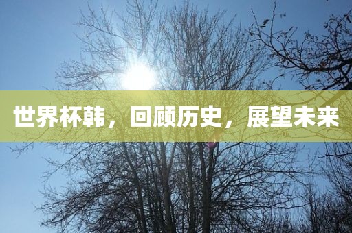 世界杯韩，回顾历史，展望未来