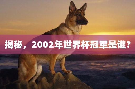 揭秘，2002年世界杯冠军是谁？