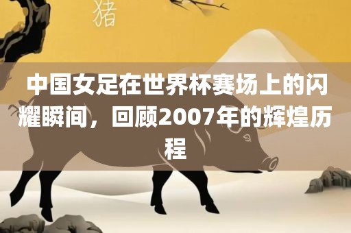 中国女足在世界杯赛场上的闪耀瞬间，回顾2007年的辉煌历程