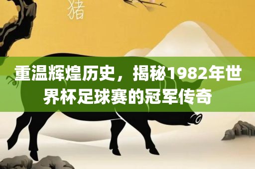 重温辉煌历史，揭秘1982年世界杯足球赛的冠军传奇
