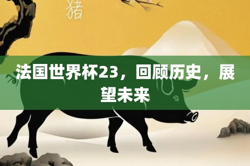 法国世界杯23，回顾历史，展望未来