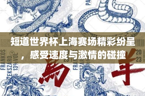 短道世界杯上海赛场精彩纷呈，感受速度与激情的碰撞