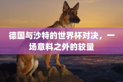 德国与沙特的世界杯对决,一场意料之外的较量广州熙林手袋有限公司