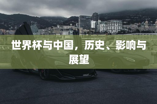 世界杯与中国，历史、影响与展望