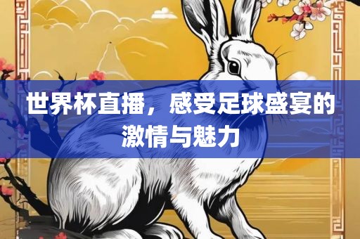 世界杯直播，感受足球盛宴的激情与魅力