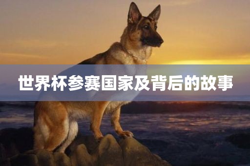 世界杯参赛国家及背后的故事