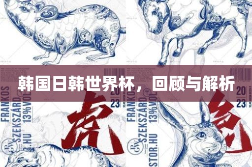 韩国日韩世界杯,回顾与解析