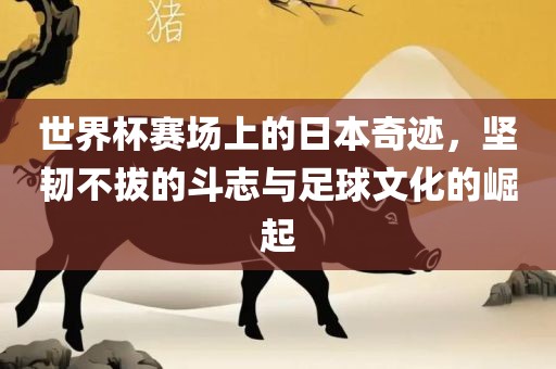 世界杯赛场上的日本奇迹，坚韧不拔的斗志与足球文化的崛起