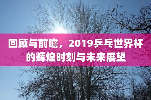 回顾与前瞻，2019乒乓世界杯的辉煌时刻与未来展望