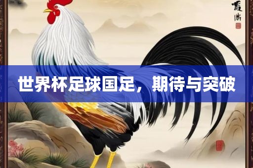 世界杯足球国足,期待与突破广州熙林手袋有限公司