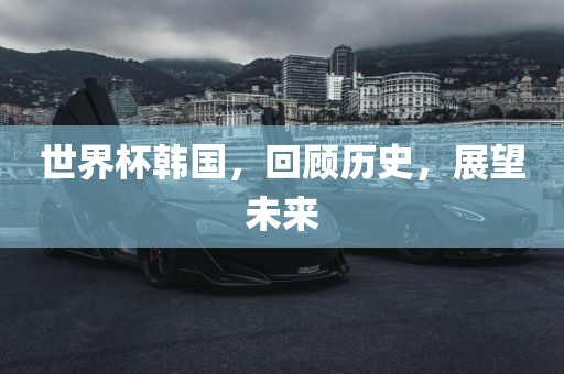世界杯韩国，回顾历史，展望未来