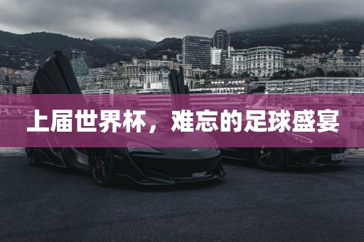 上届世界杯,难忘的足球盛宴广州熙林手袋有限公司