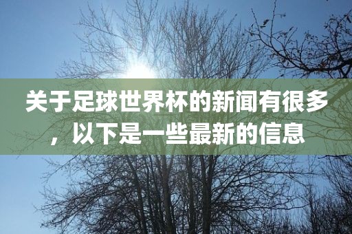关于足球世界杯的新闻有很多,以下是一些最新的信息