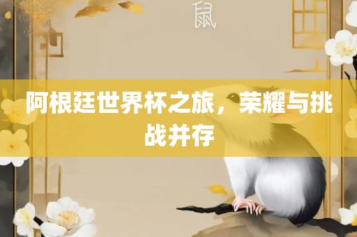 阿根廷世界杯之旅，荣耀与挑战并存