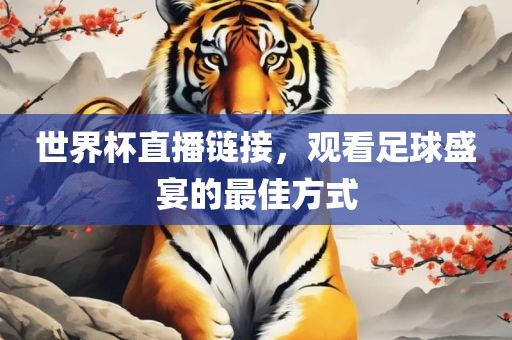 世界杯直播链接,观看足球盛宴的最佳方式广州熙林手袋有限公司