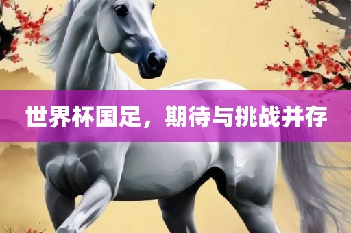 世界杯国足,期待与挑战并存