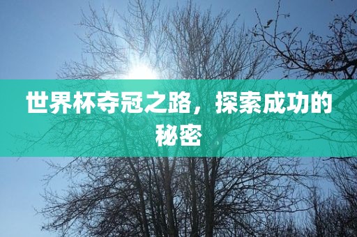 世界杯夺冠之路，探索成功的秘密