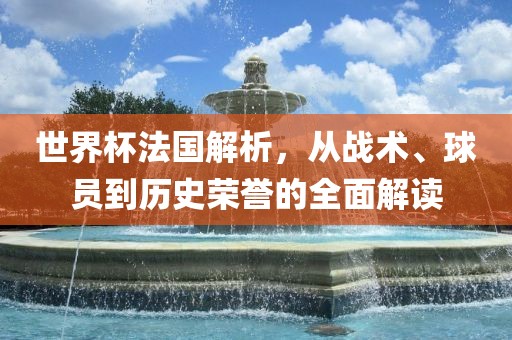 世界杯法国解析，从战术、球员到历史荣誉的全面解读