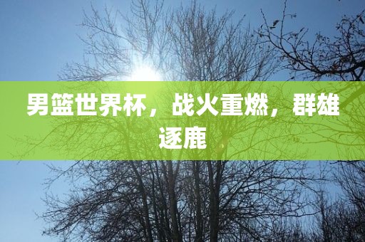 男篮世界杯，战火重燃，群雄逐鹿