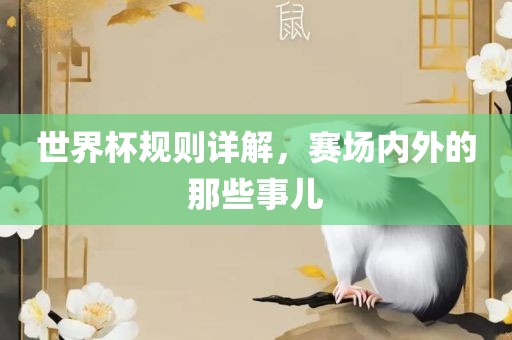 世界杯规则详解，赛场内外的那些事儿