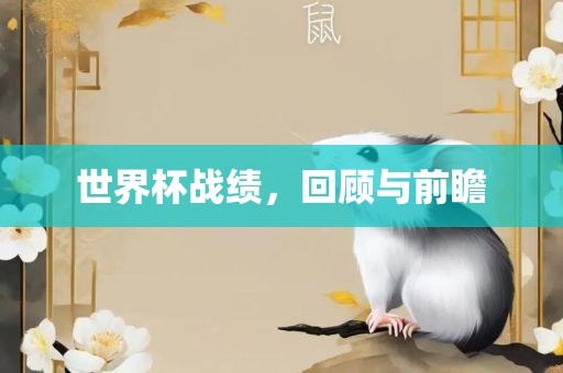 世界杯战绩，回顾与前瞻广州熙林手袋有限公司