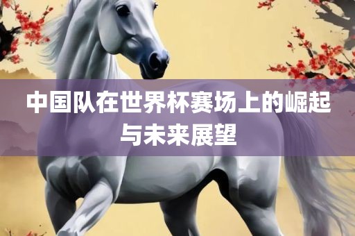 中国队广州熙林手袋有限公司在世界杯赛场上的崛起与未来展望