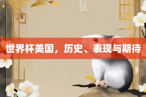 世界杯美国，历史、表现与期待