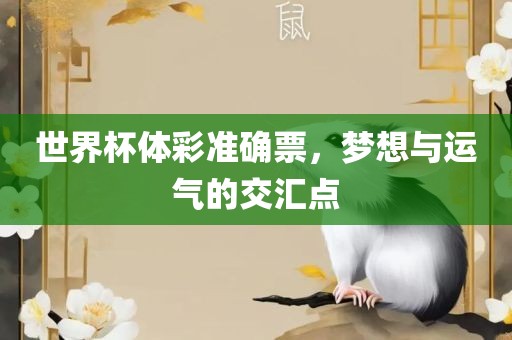 世界杯体彩准确票，梦想与运气的交汇点